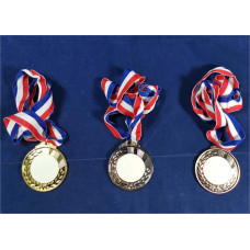 Medal Winner Gold, Silver, Bronze Medals Olympics Prizes Party Favor Sports