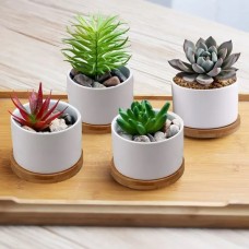 Garden Plant Pot Flower Cactus Succulents for Sublimation Heat Pressing